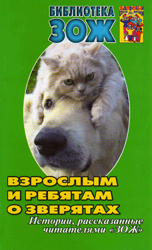 Предупреждение Плюс +
